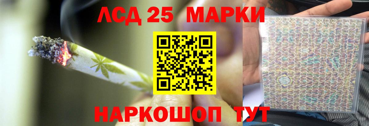 Меф Новосибирск