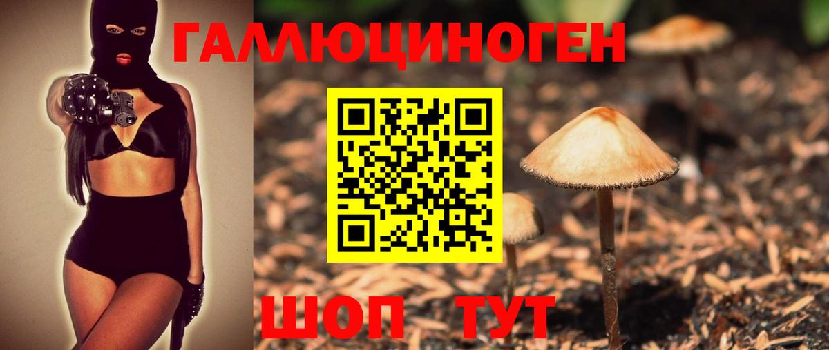 Новосибирск  Галлюциногенные грибы Psilocybine cubensis  Вход с VPN  Галлюциногенные грибы ЛСД 